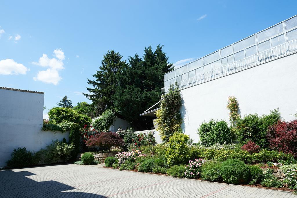Pension Sprinzl Schwechat Exterior photo
